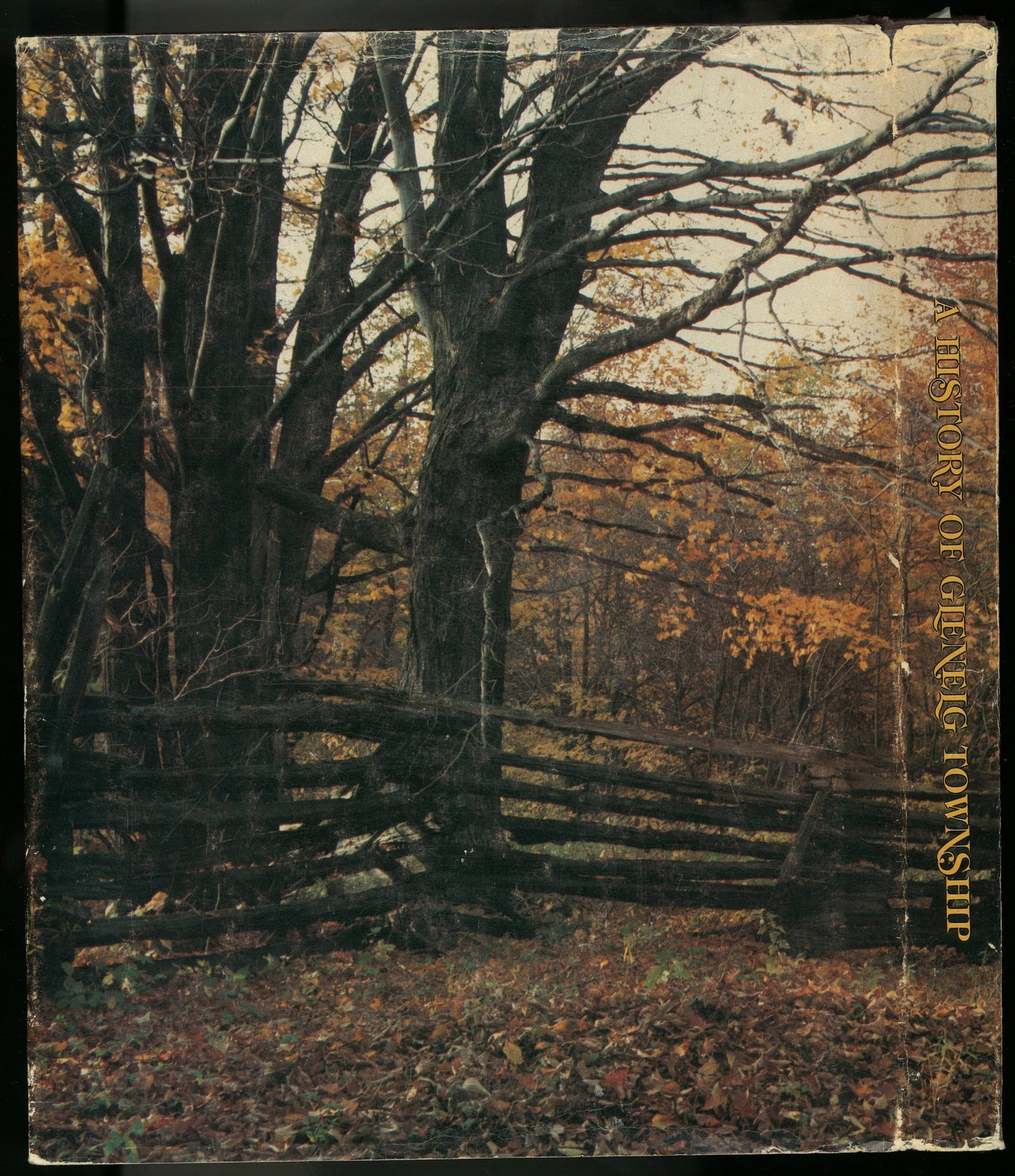 A History of Glenelg Township - The Bookstore