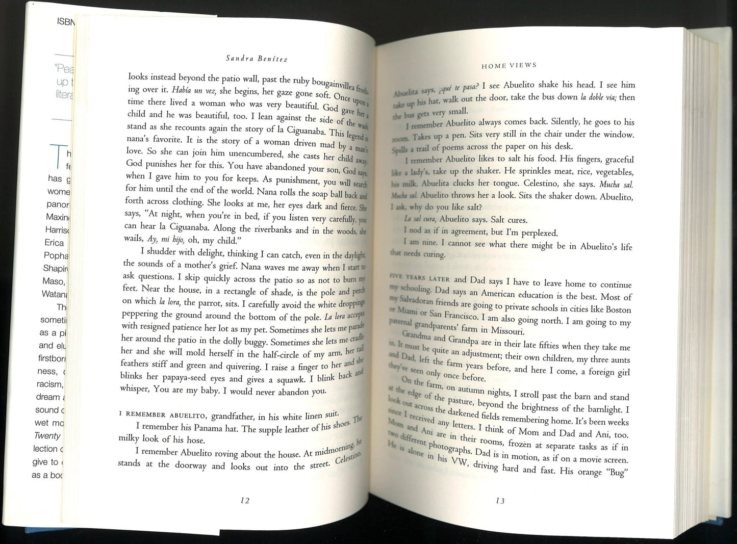 A Place Called Home: Twenty Writing Women Remember Mickey Pearlman