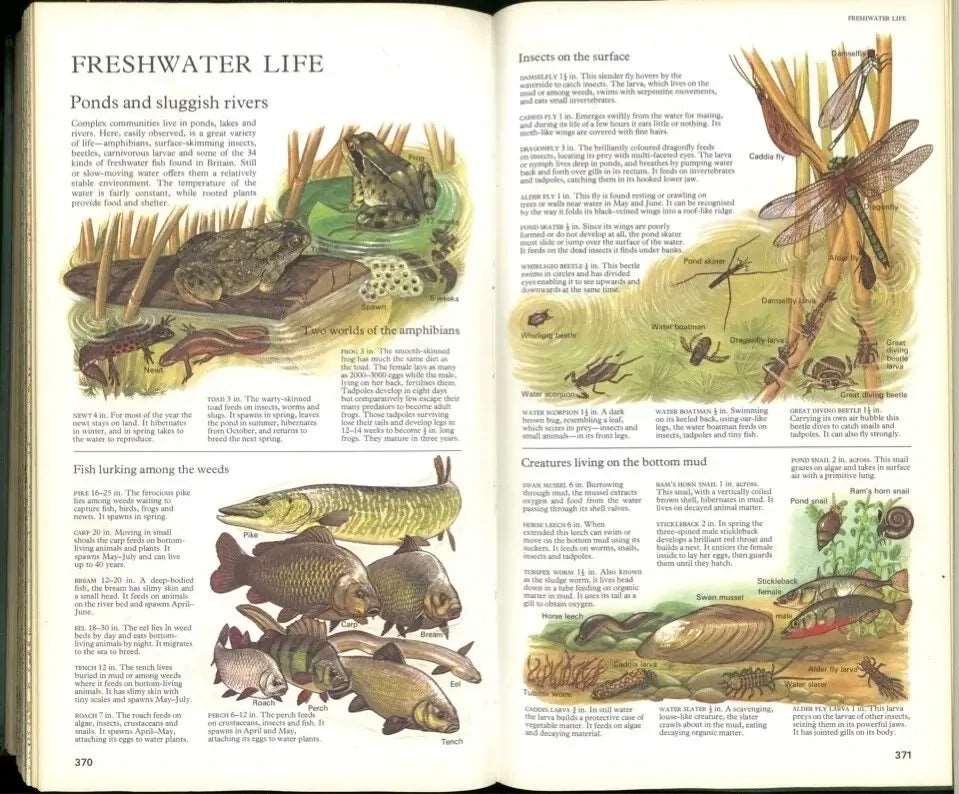 AA New Book of The Road by Reader's Digest Reader's Digest