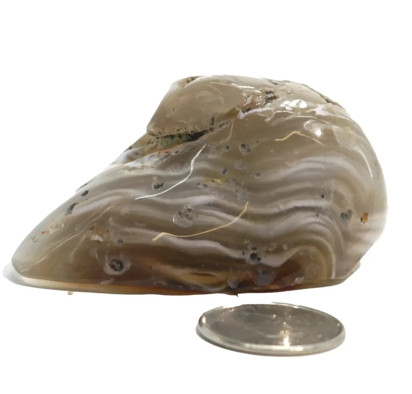 Agate Enhydro Geode Polished My Store