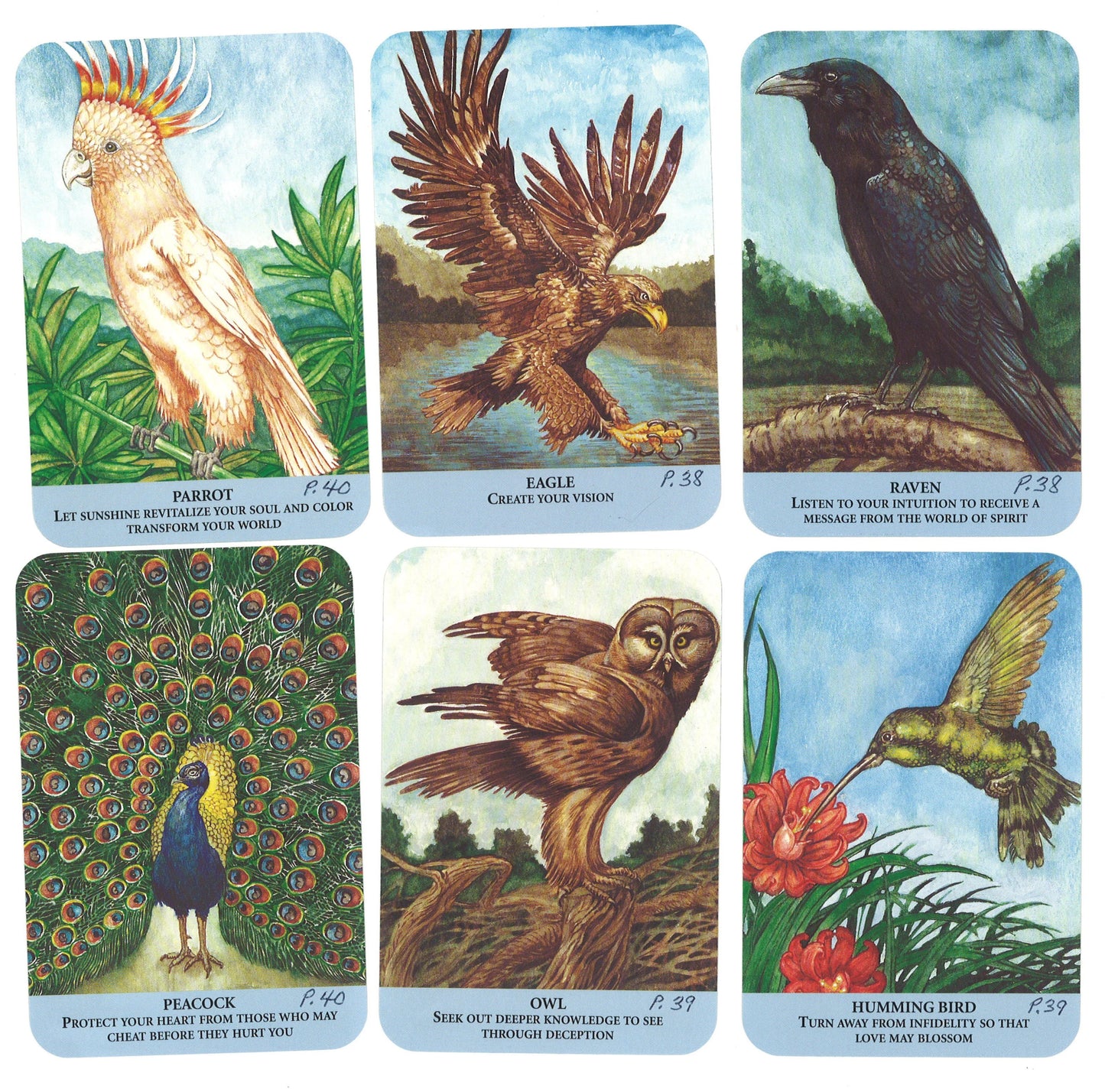 Animal Messages: Seek Inspiration from Your Animal Guides - The Bookstore