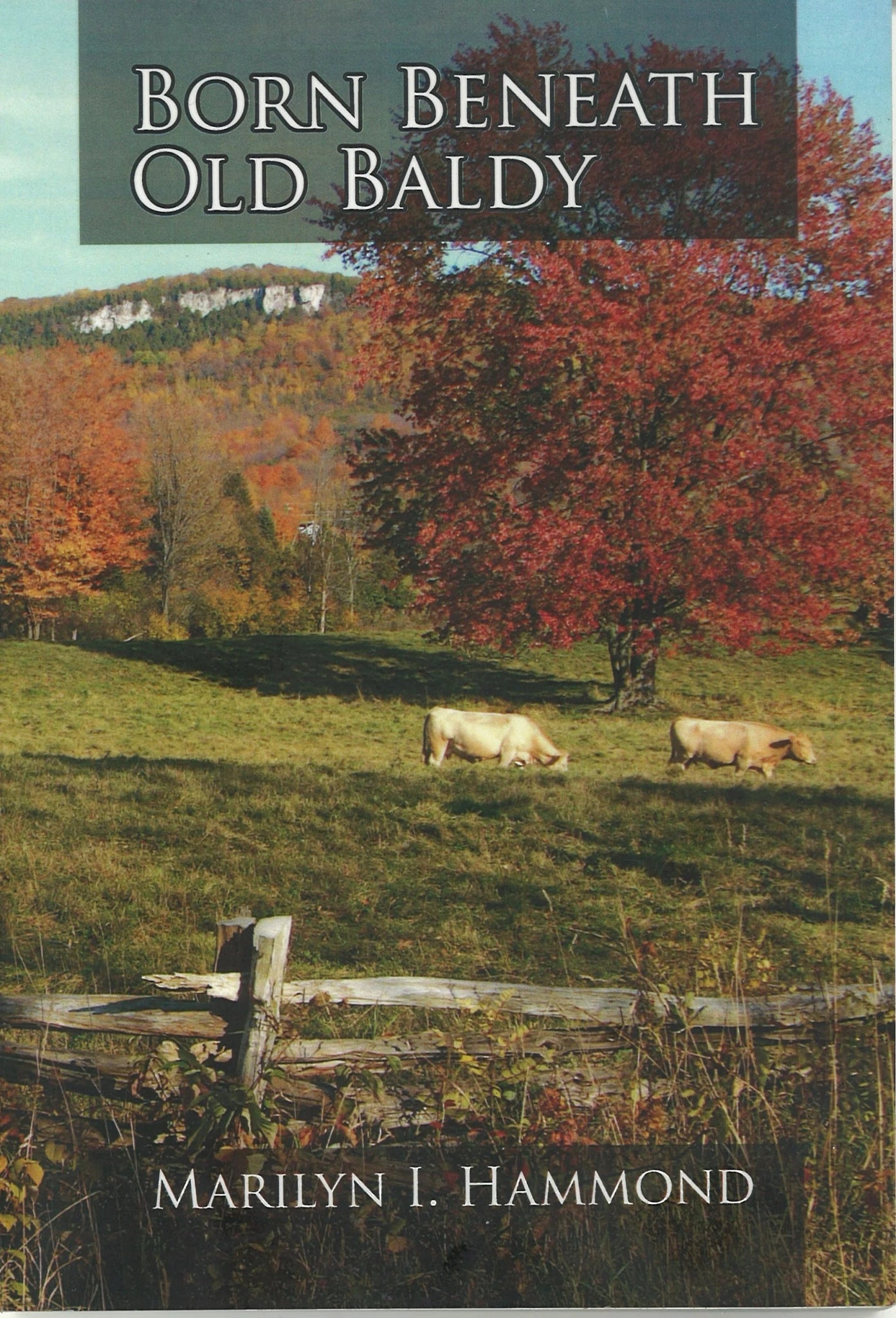 Born Beneath Old Baldy (Signed) Marilyn I. Hammond