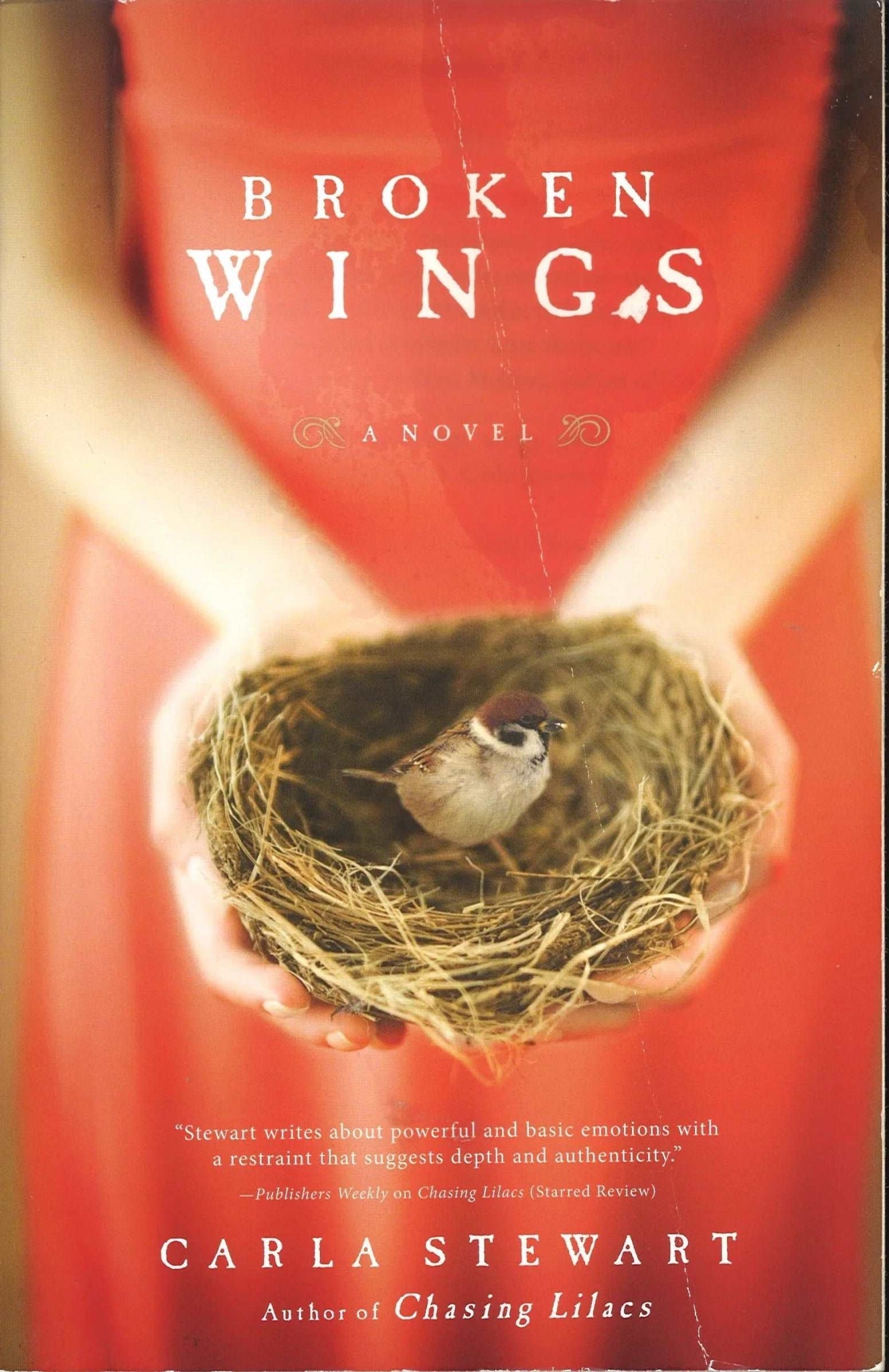Broken Wings by Carla Stewart My Store