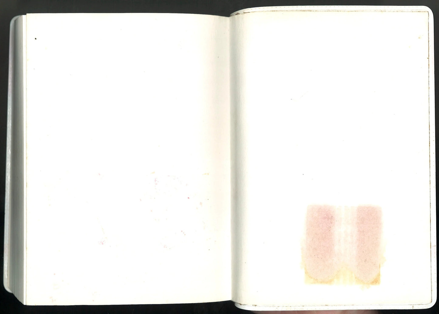 Collins Spurrell Pocket Welsh Dictionary (Revised and Updated) - The Bookstore