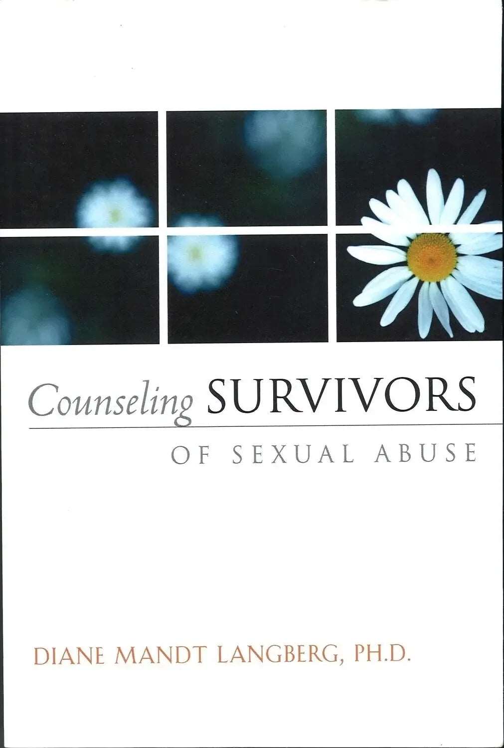 Counseling Survivors of Sexual Abuse, Diane Mandt Langberg My Store