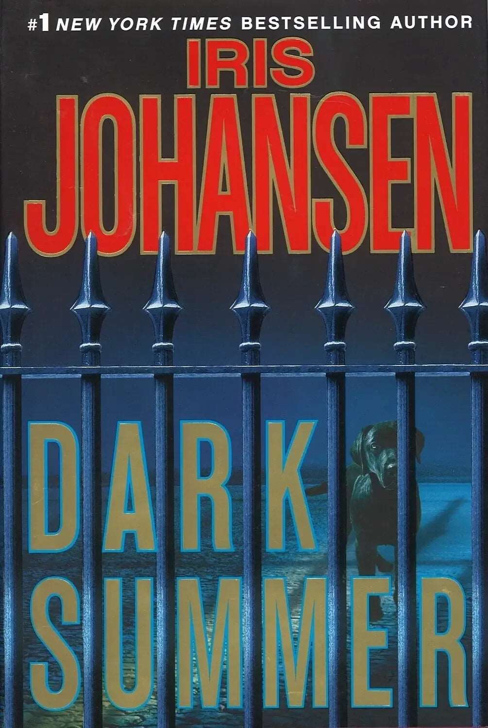 Dark Summer by Iris Johansen My Store