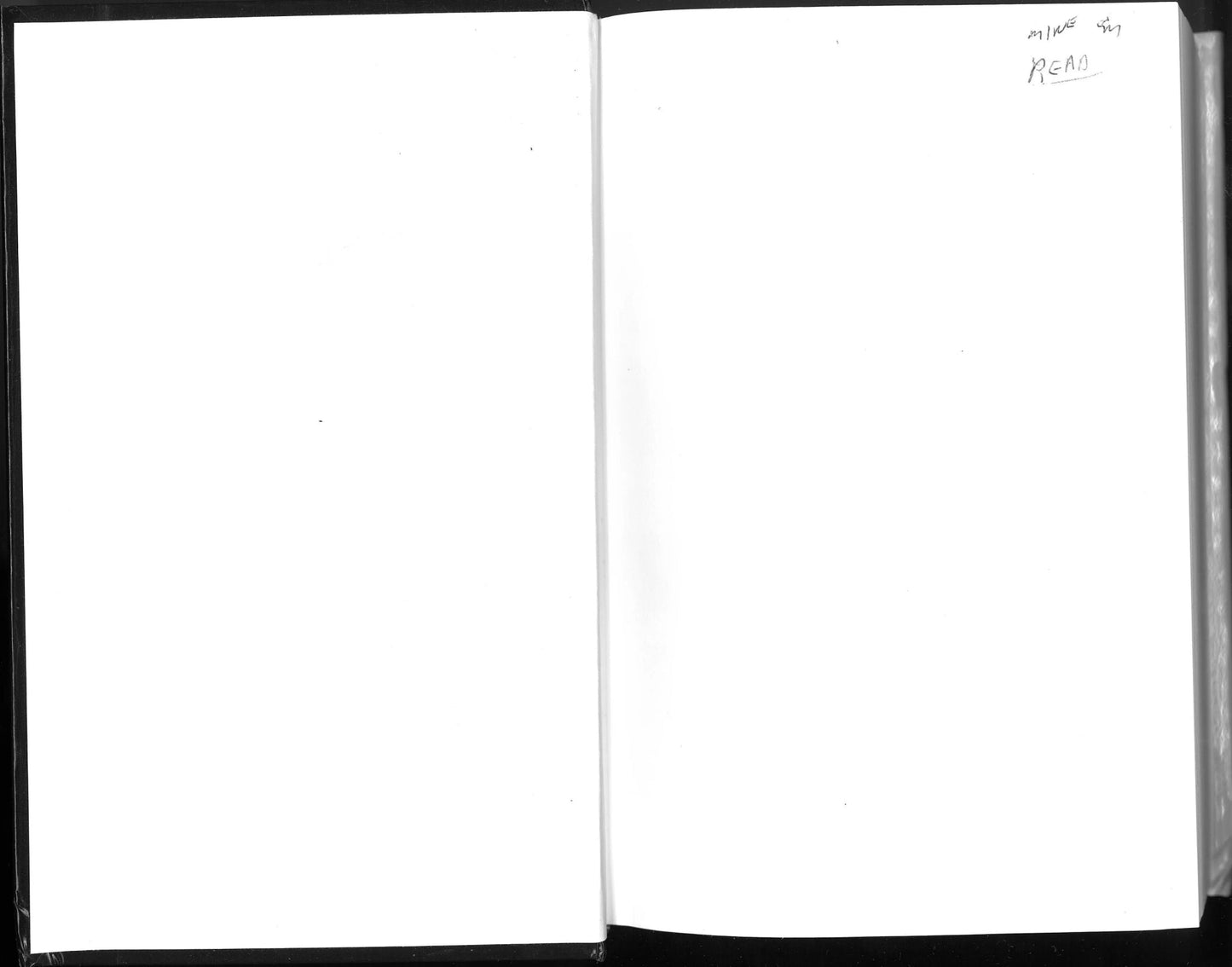 Death & Texas (Large Print) William W. Johnstone, J. A. Johnstone