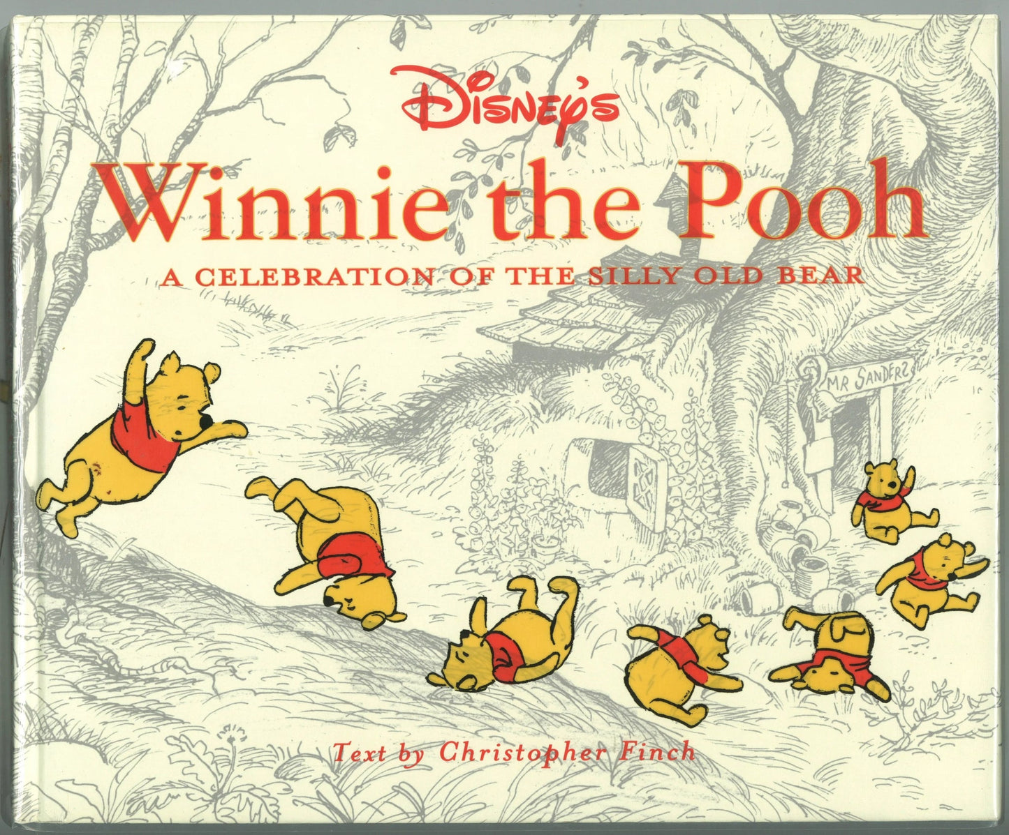 Disney's Winnie the Pooh: A Celebration of the Silly Old Bear Christopher Robin Finch
