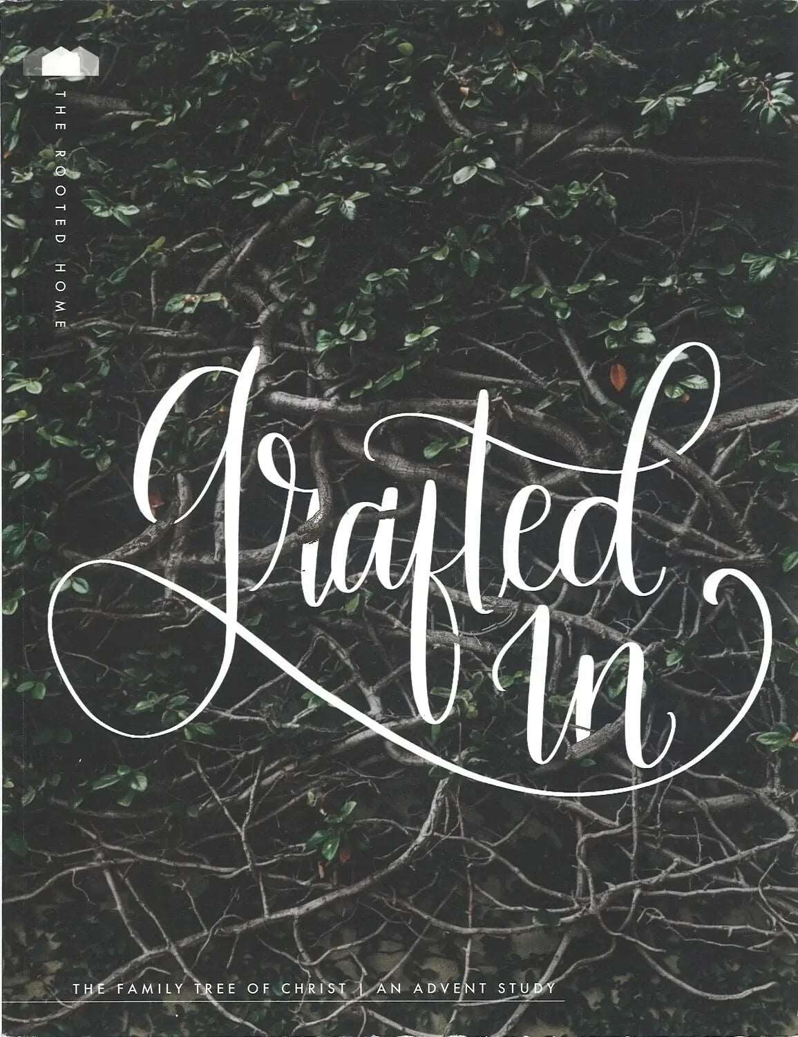 Grafted In by Amy Gannett My Store