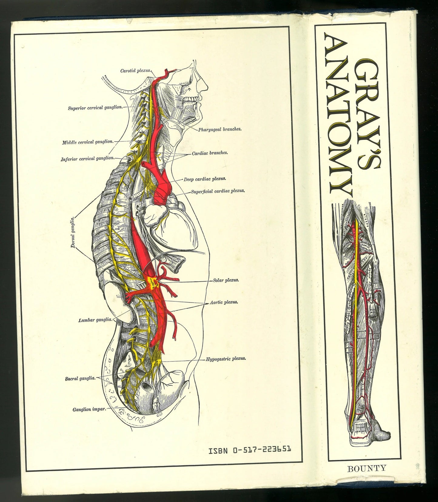 Gray's Anatomy (The Classic Collector's Edition) - The Bookstore