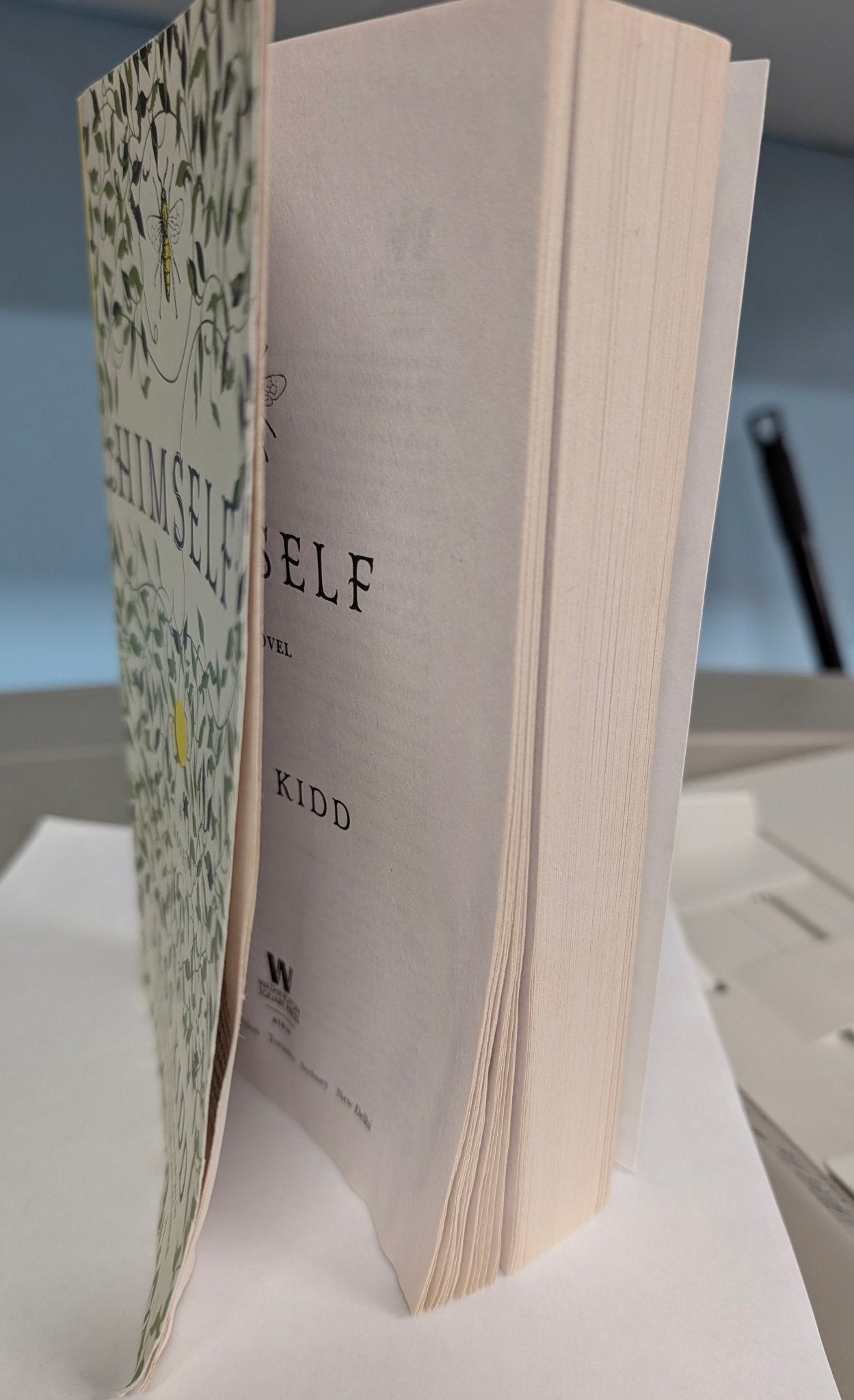 Himself: A Novel Jess Kidd