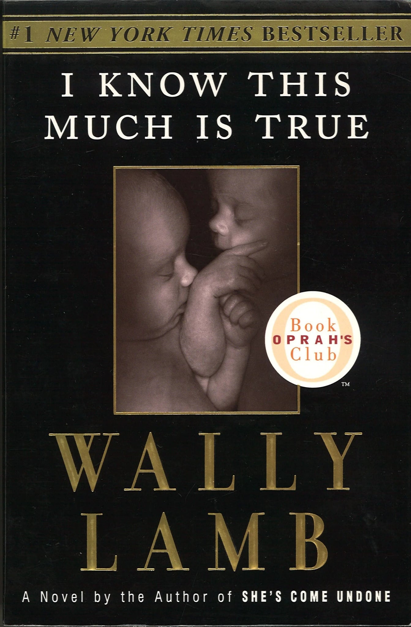 I Know This Much is True by Wally Lamb Wally Lamb