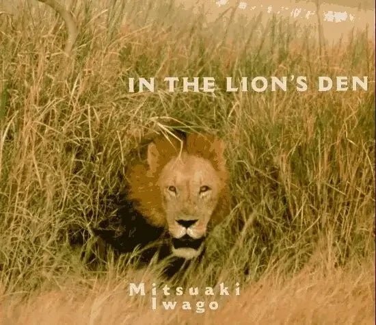 In the Lion's Den by Mitsuaki Iwago My Store