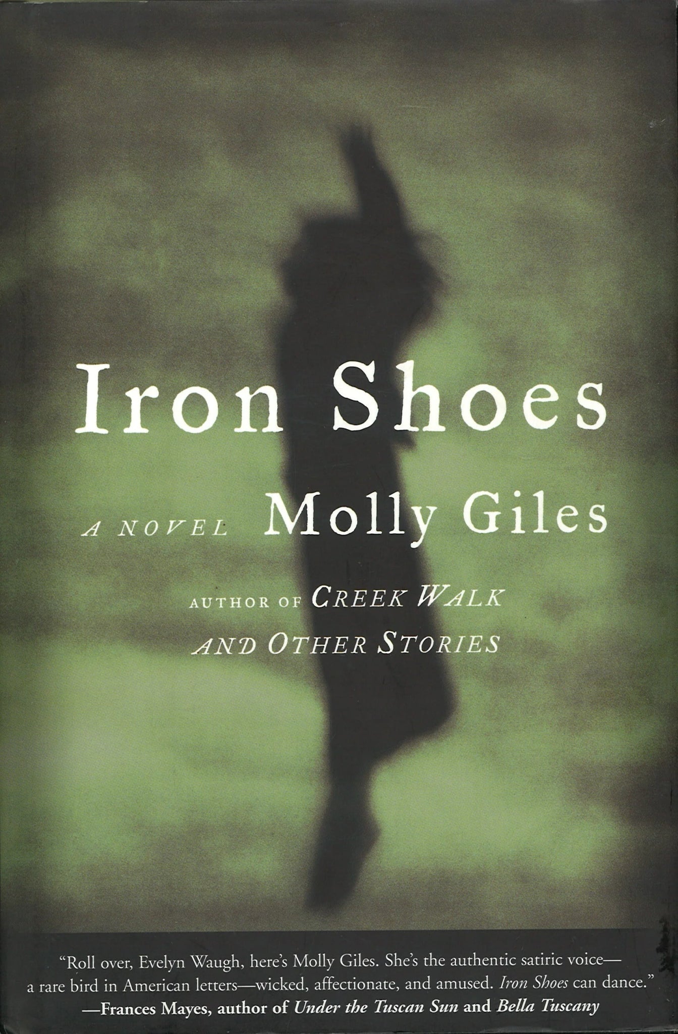Iron Shoes: A Novel Molly Giles