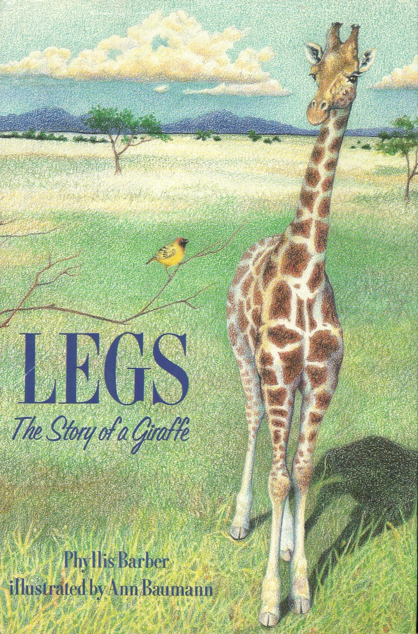 Legs the Story of a Giraffe Phyllis Barber