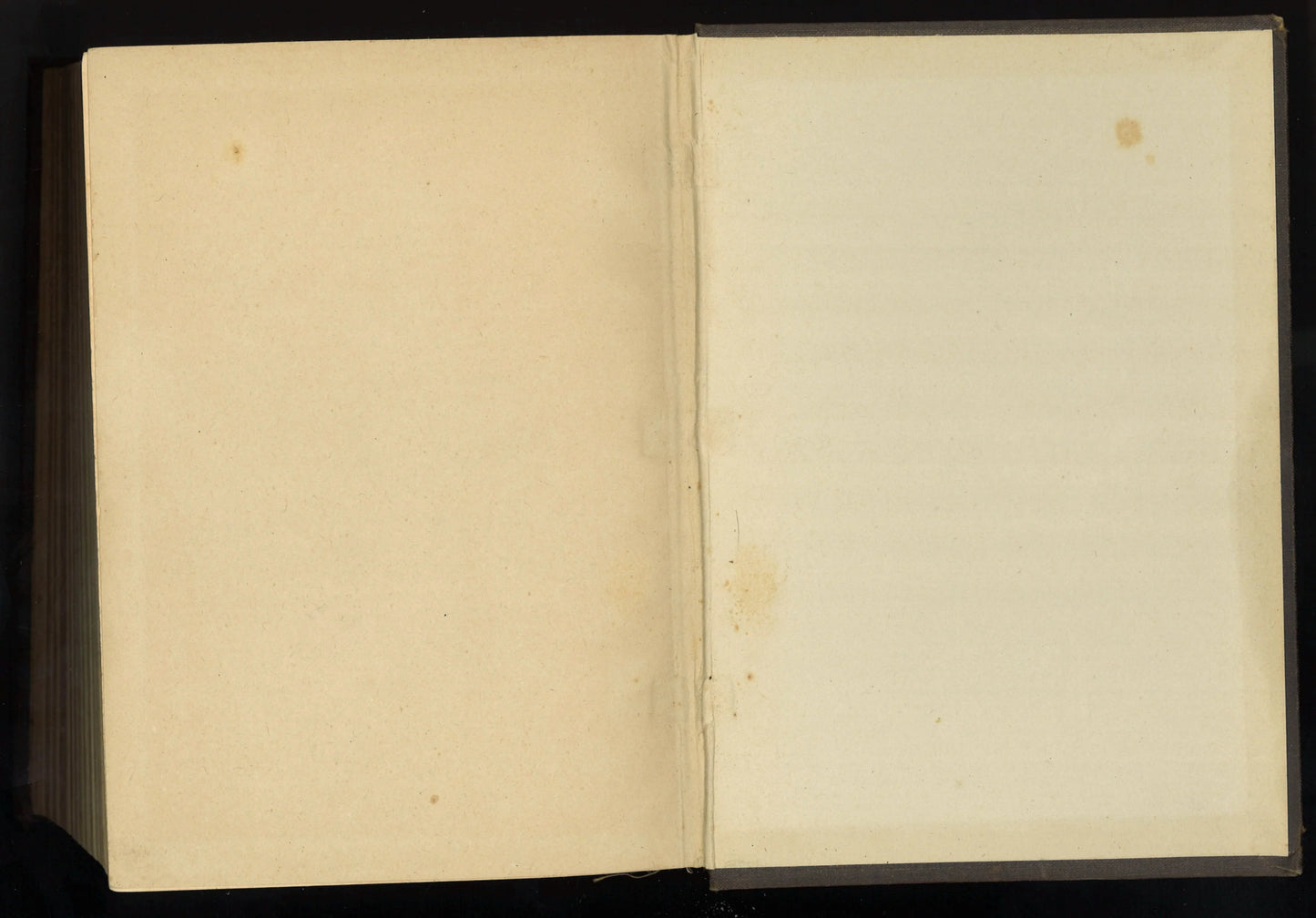 Leslie Dexter, Cadet - The Bookstore