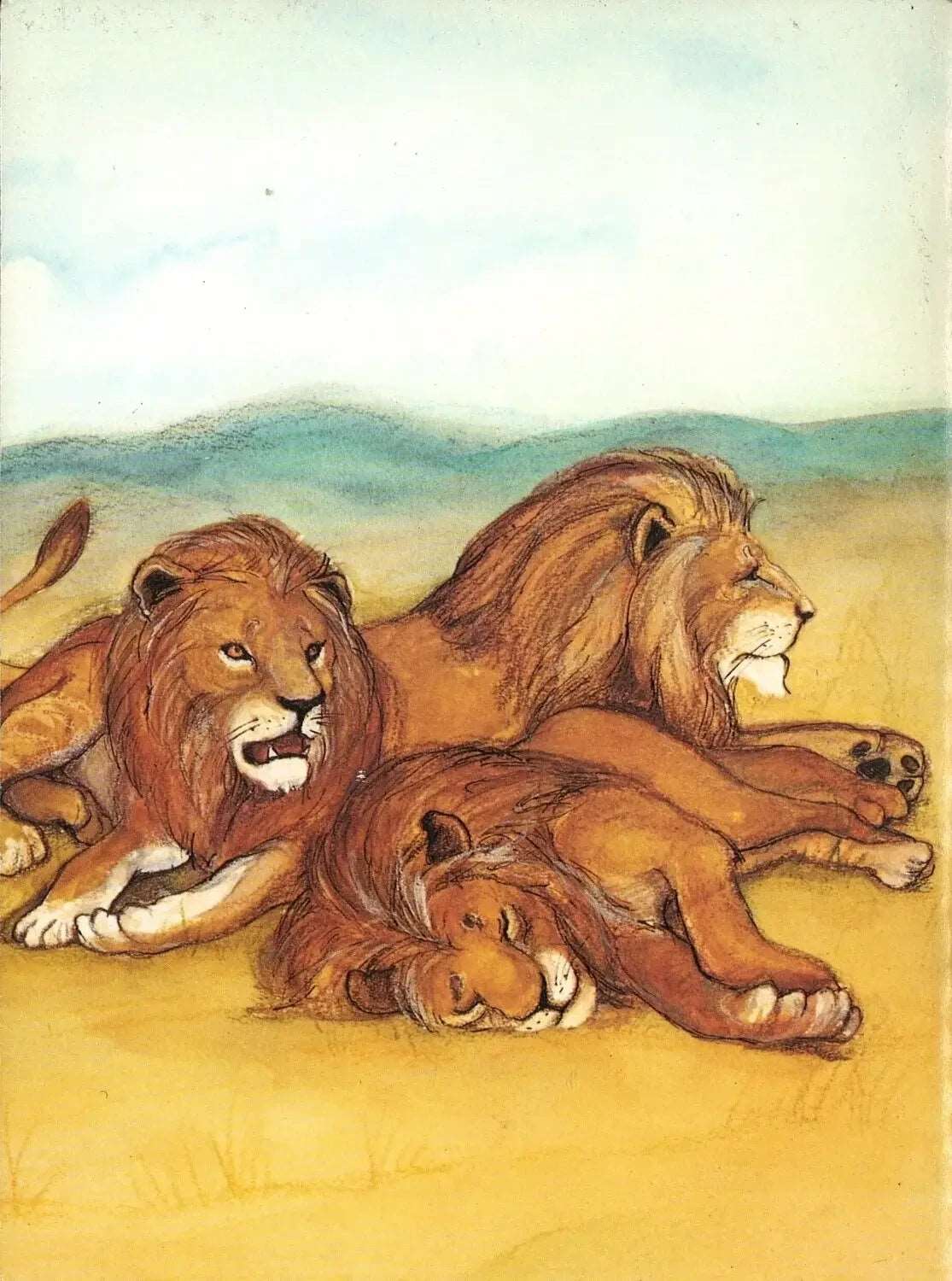 Lions by Felicia Law My Store