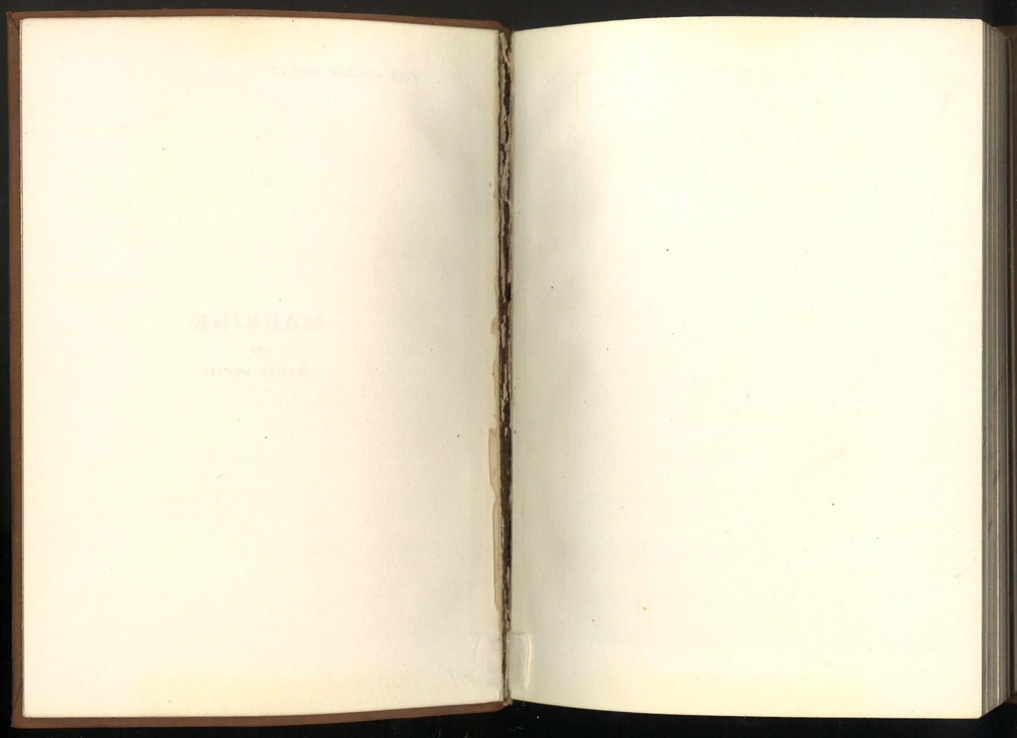 Maurine & Other Poems E. W. Wilcox