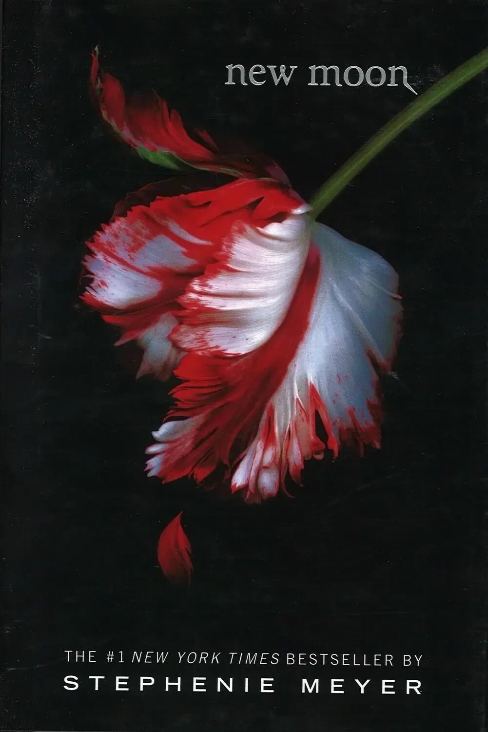 New Moon (Twilight Saga Book 2), Stephenie Meyer Stephenie Meyer