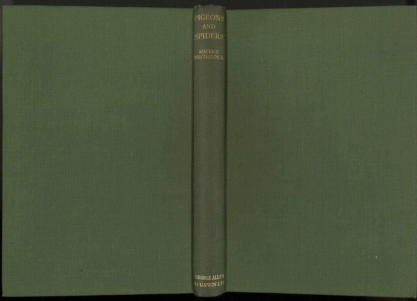 Pigeons & Spiders (The Water Spider), Maurice Maeterlinck My Store