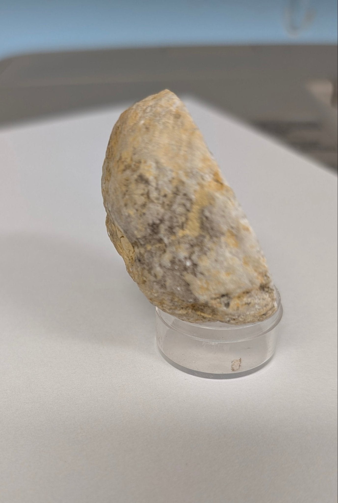 Polished Half Geode Czzjsan
