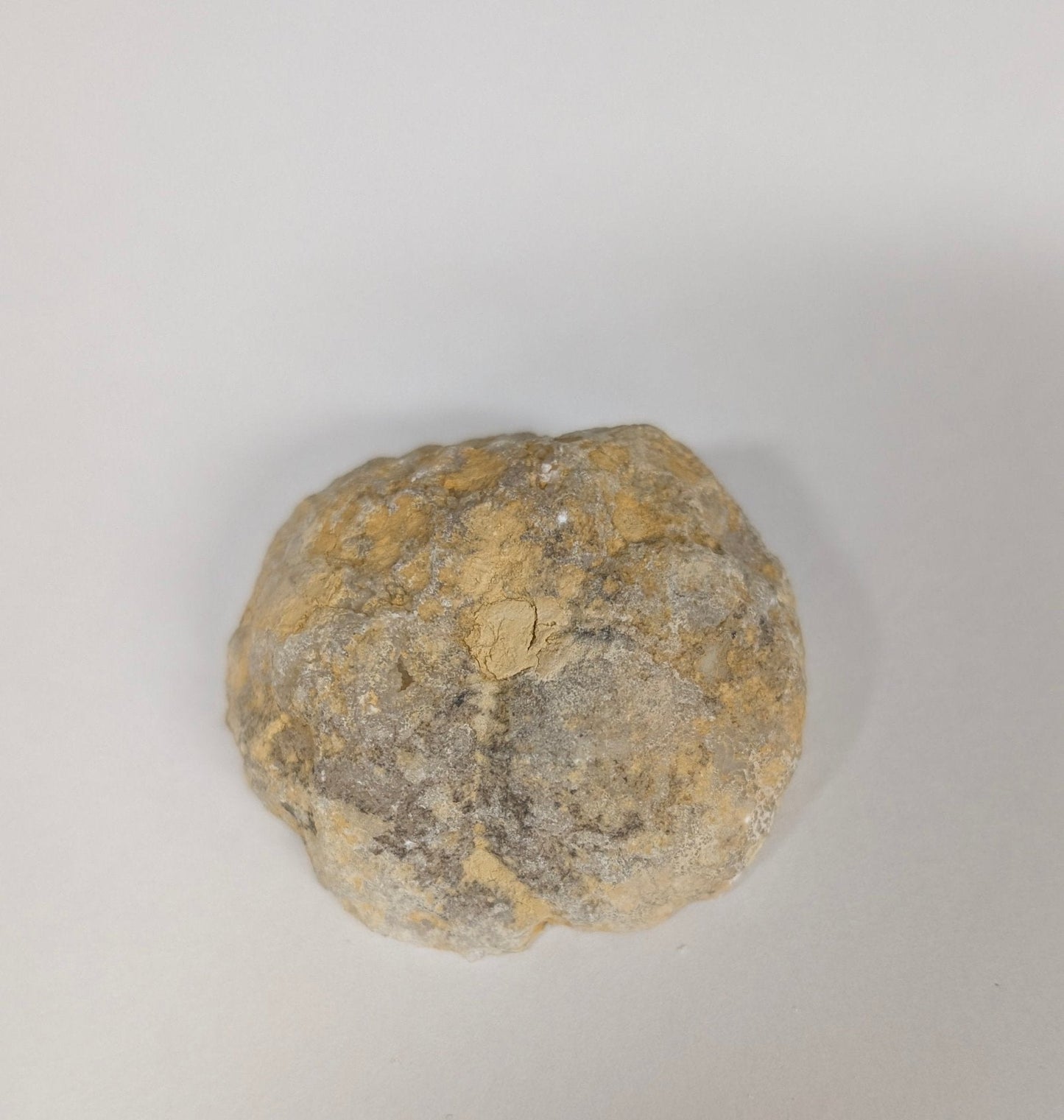 Polished Half Geode Czzjsan