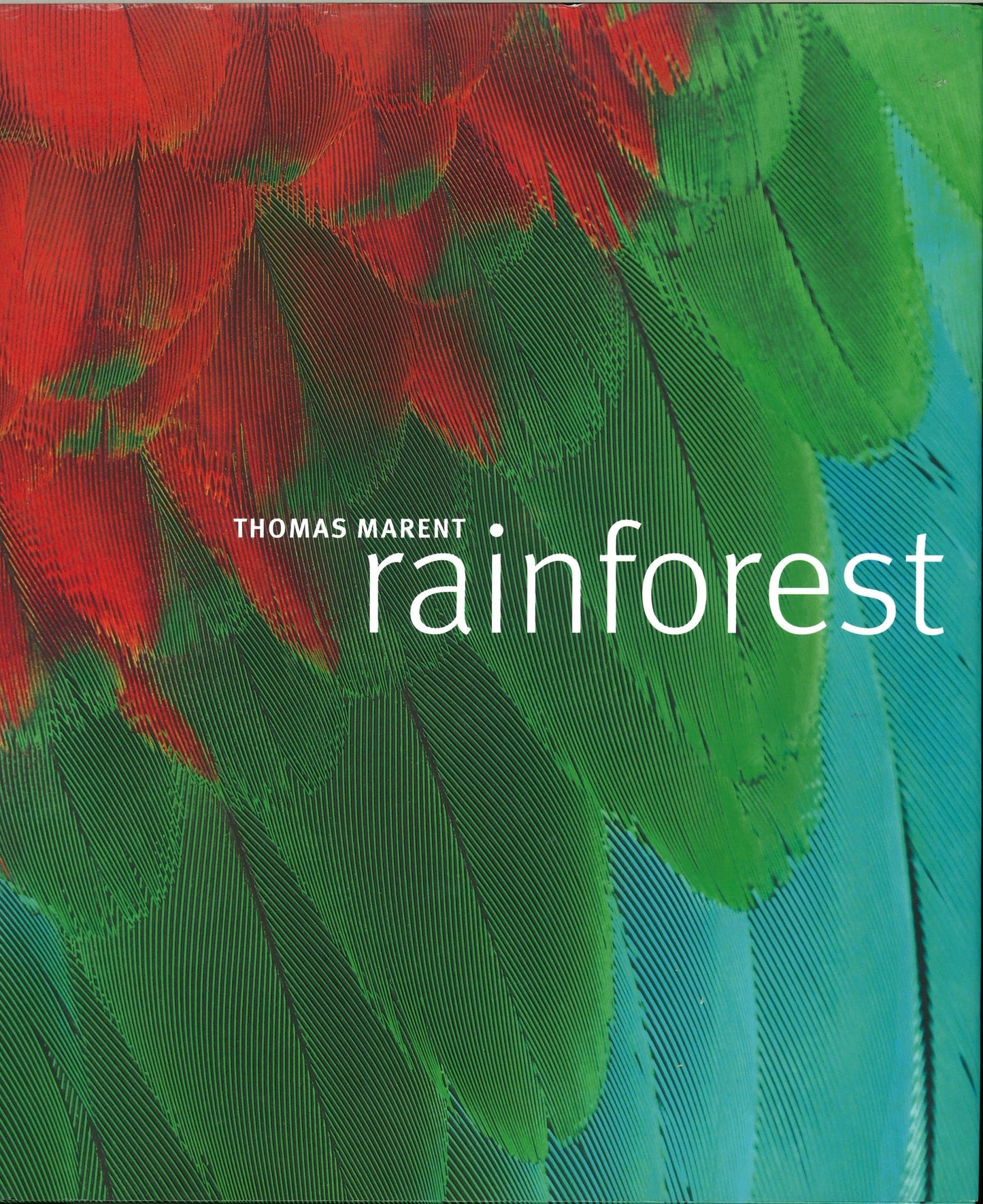 Rainforest with CD Ben Morgan, Thomas Marent, The Rainforest Foundation