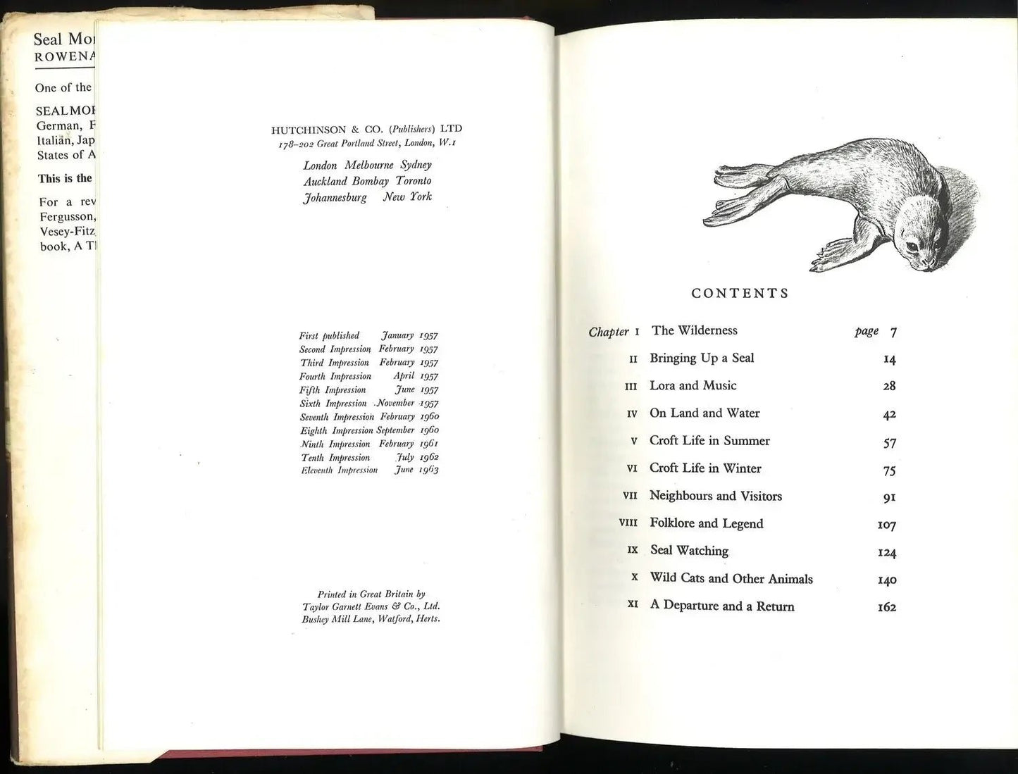 Seal Morning by Rowena Farre My Store