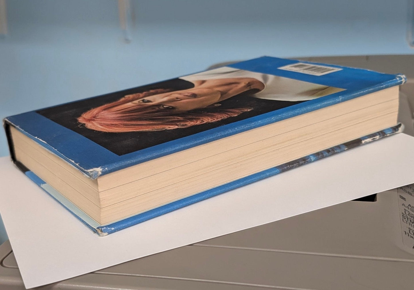 Shelter in Place Nora Roberts