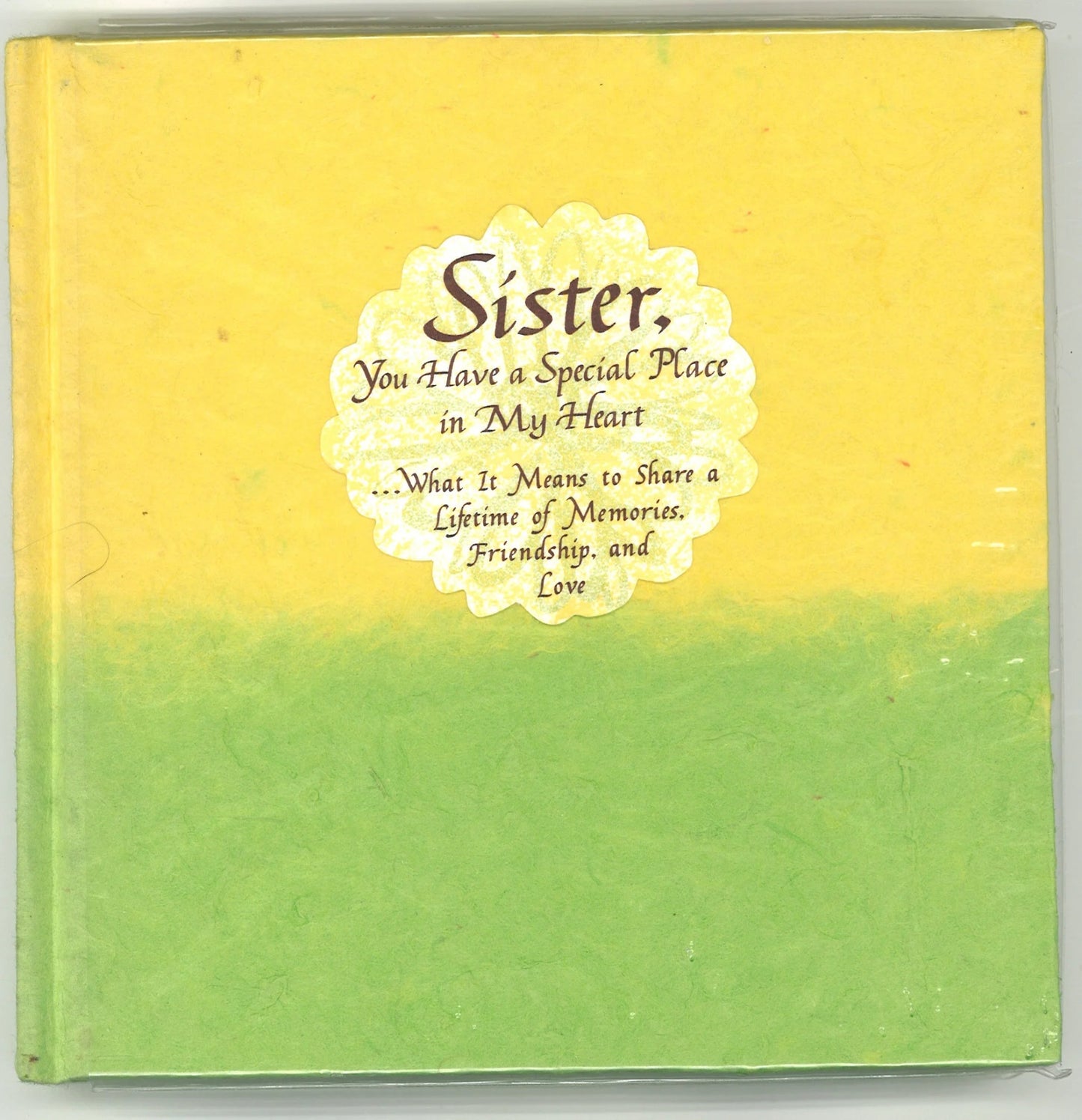 Sister, You Have A Special Place In My Heart - The Bookstore