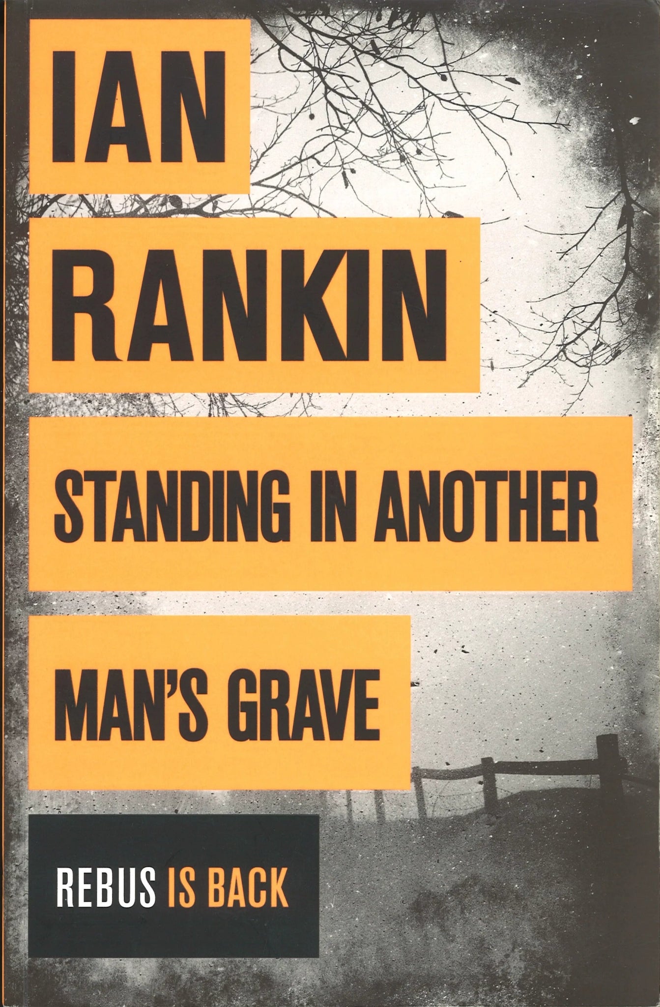 Standing in Another Man's Grave (A Rebus Novel) Ian Rankin
