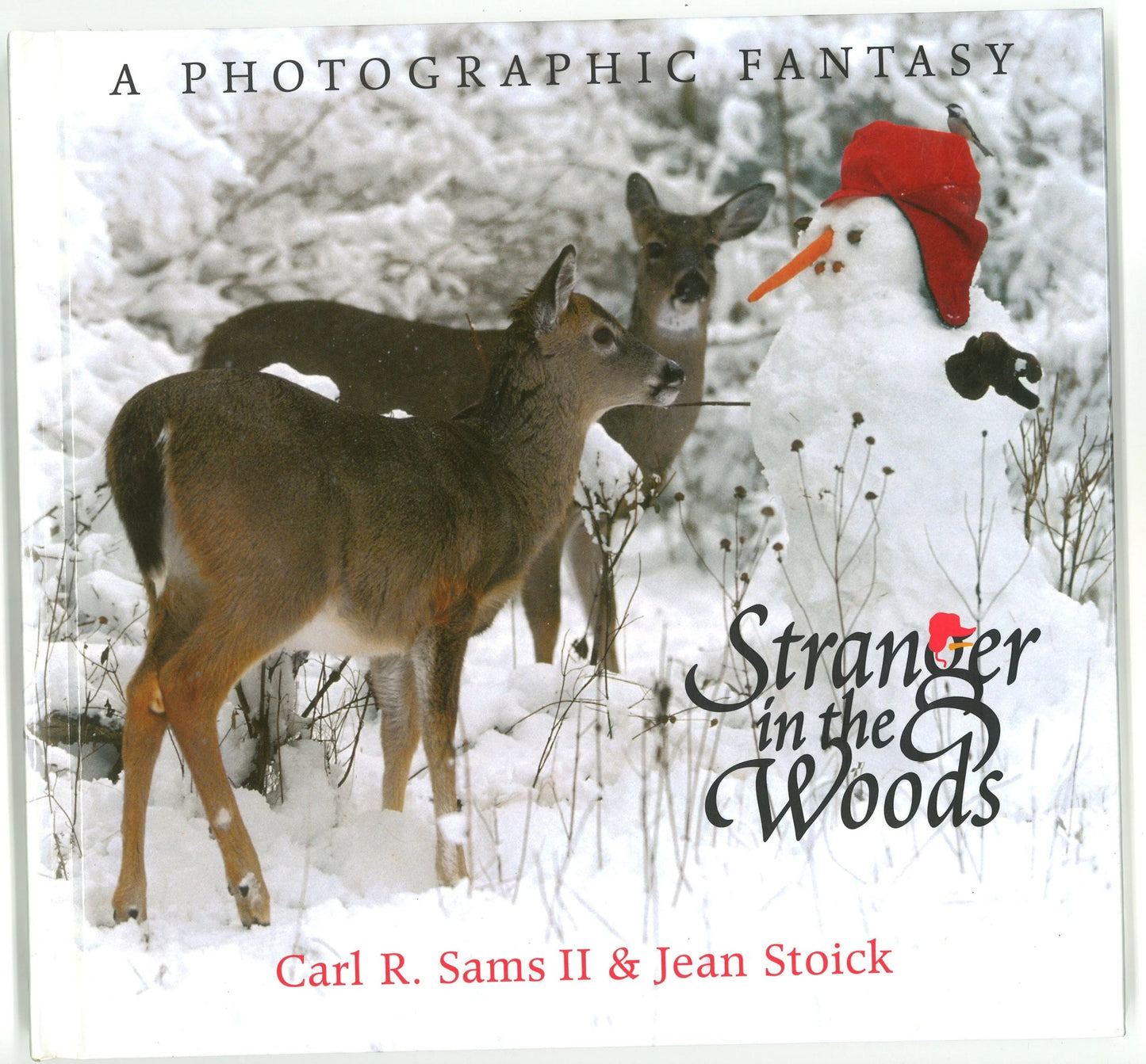 Stranger in The Woods: A Photographic Fantasy Carl R. Sams II, Jean Stoick