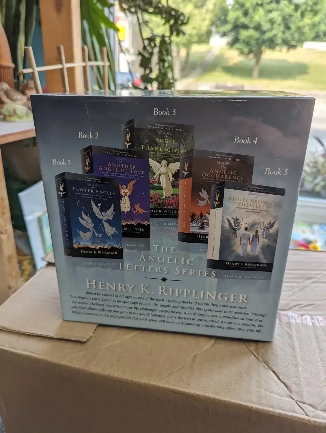 The Angelic Letters Series 5 Book Box Set, Henry K. Ripplinger My Store