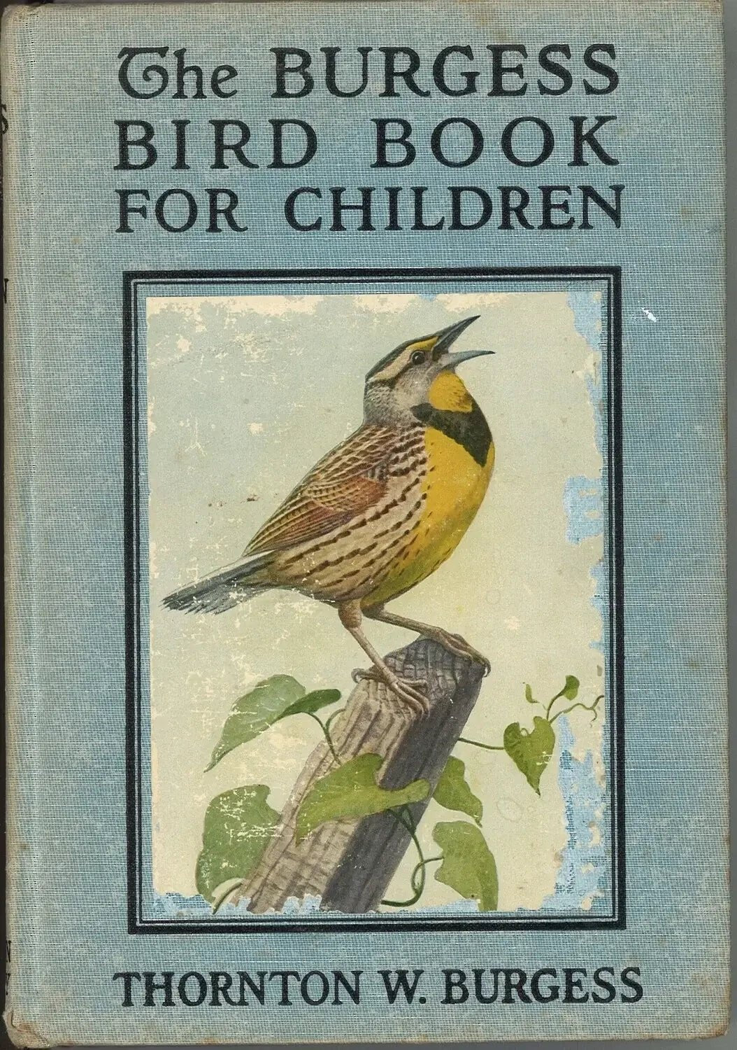 The Burgess Bird Book For Children - The Bookstore