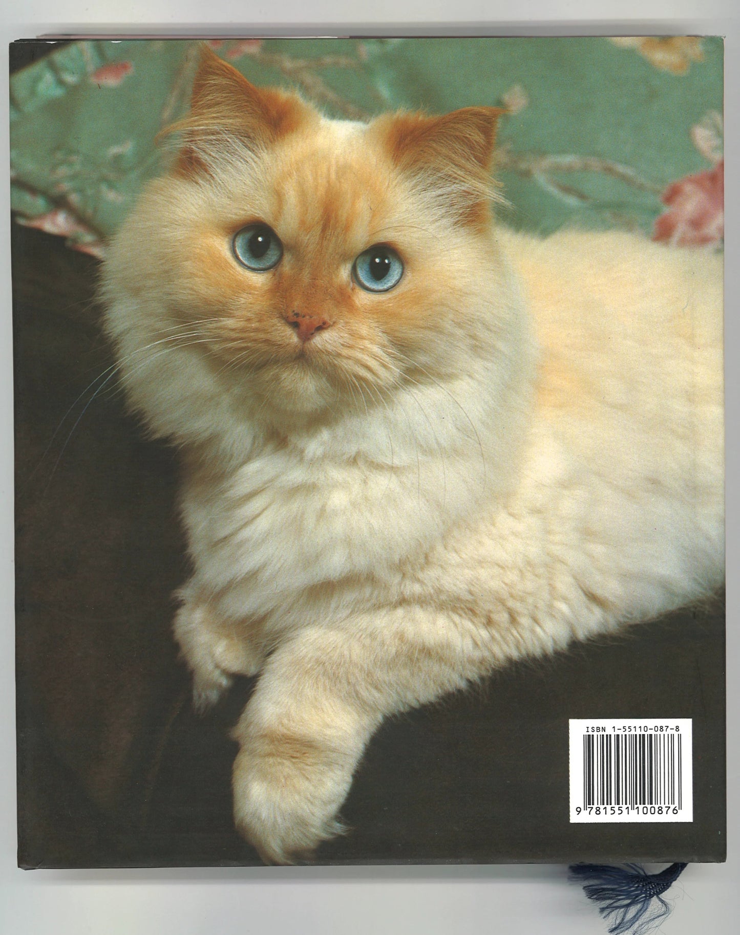 The Cat Lovers Companion: A Book of Cat Days and Cat Ways - The Bookstore