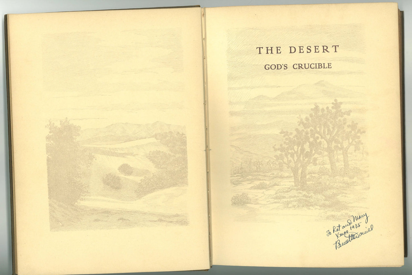 The Desert: God's Crucible Bruce W. McDaniel
