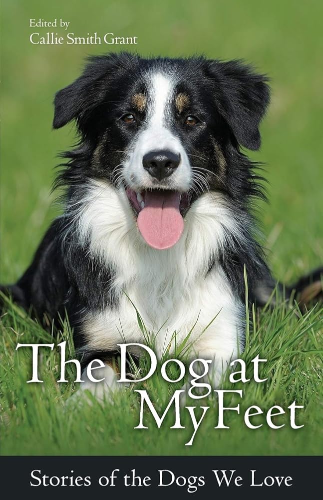 The Dog at My Feet: Stories of the Dogs We Love Callie Smith Grant