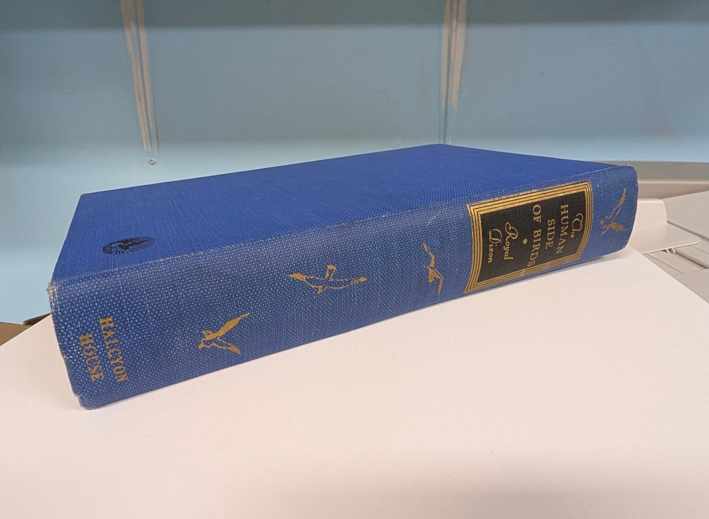 The Human Side of Birds - The Bookstore