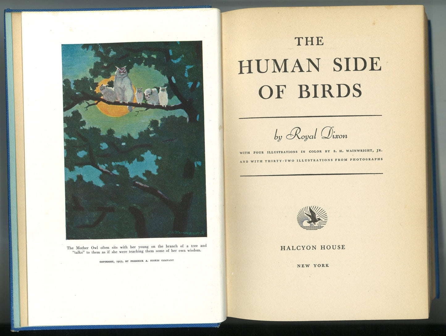 The Human Side of Birds - The Bookstore
