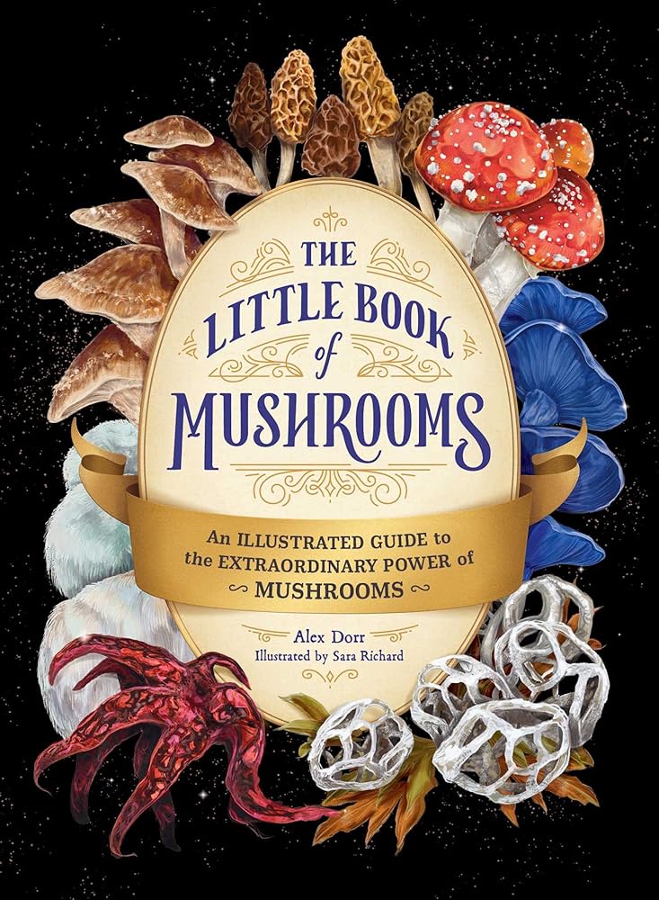 The Little Book of Mushrooms: An Illustrated Guide to the Extraordinary Power of Mushrooms - The Bookstore