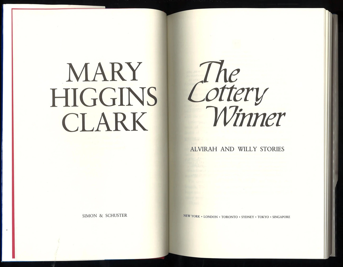 The Lottery Winner (Alvirah and Willy Stories) - The Bookstore