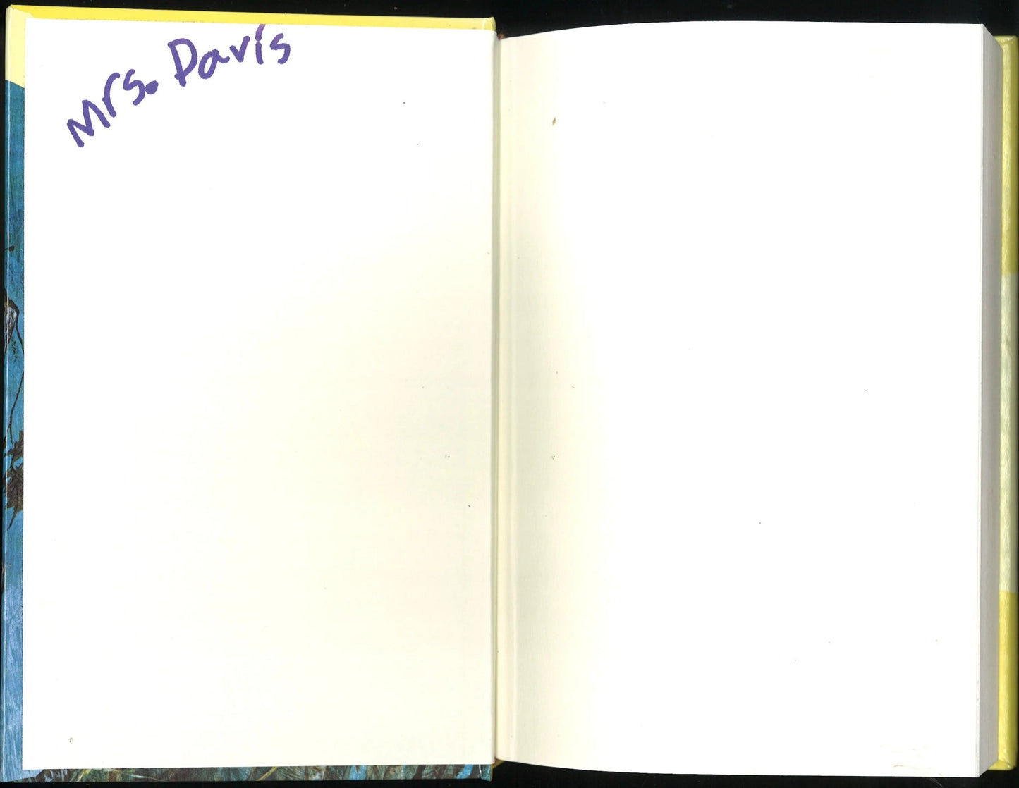 The Message in the Hollow Oak (Nancy Drew, Book 12) Carolyn Keene