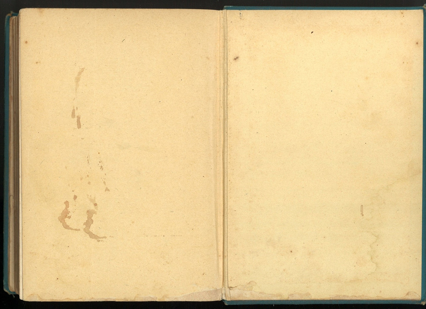 The Pioneers R. M. Ballantyne