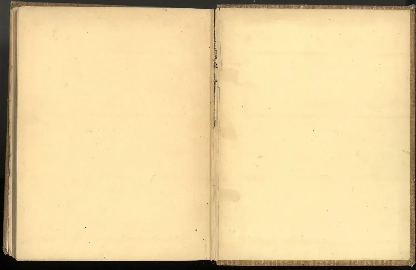 The Royal Treasury of Story and Song Part I: Doors of Gold - The Bookstore