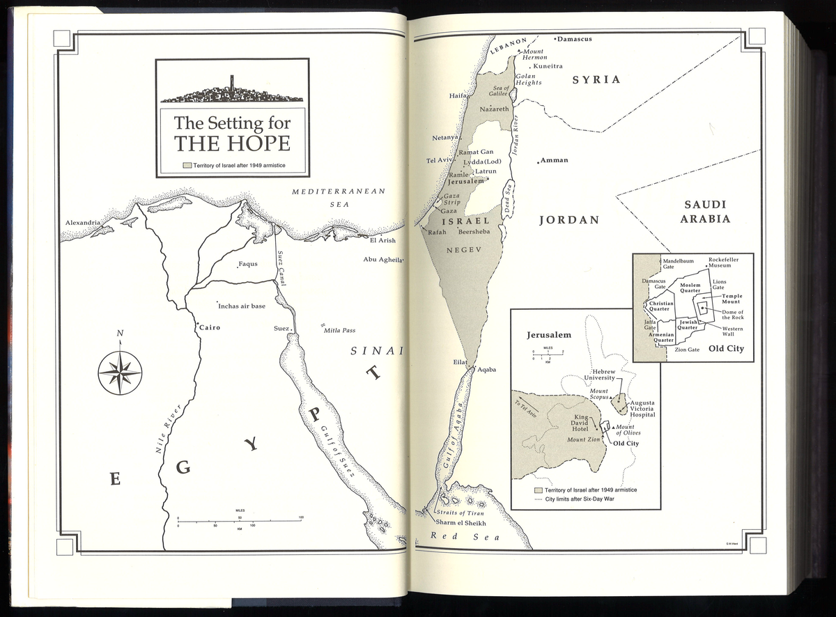 The Hope, A Novel