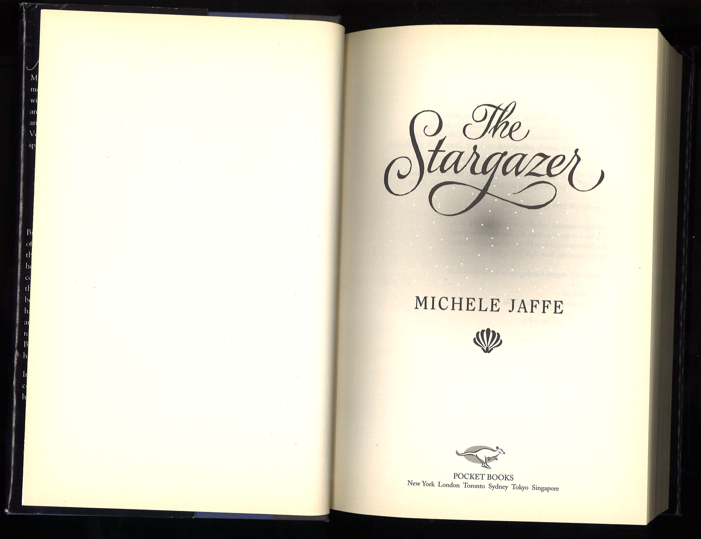 The Stargazer