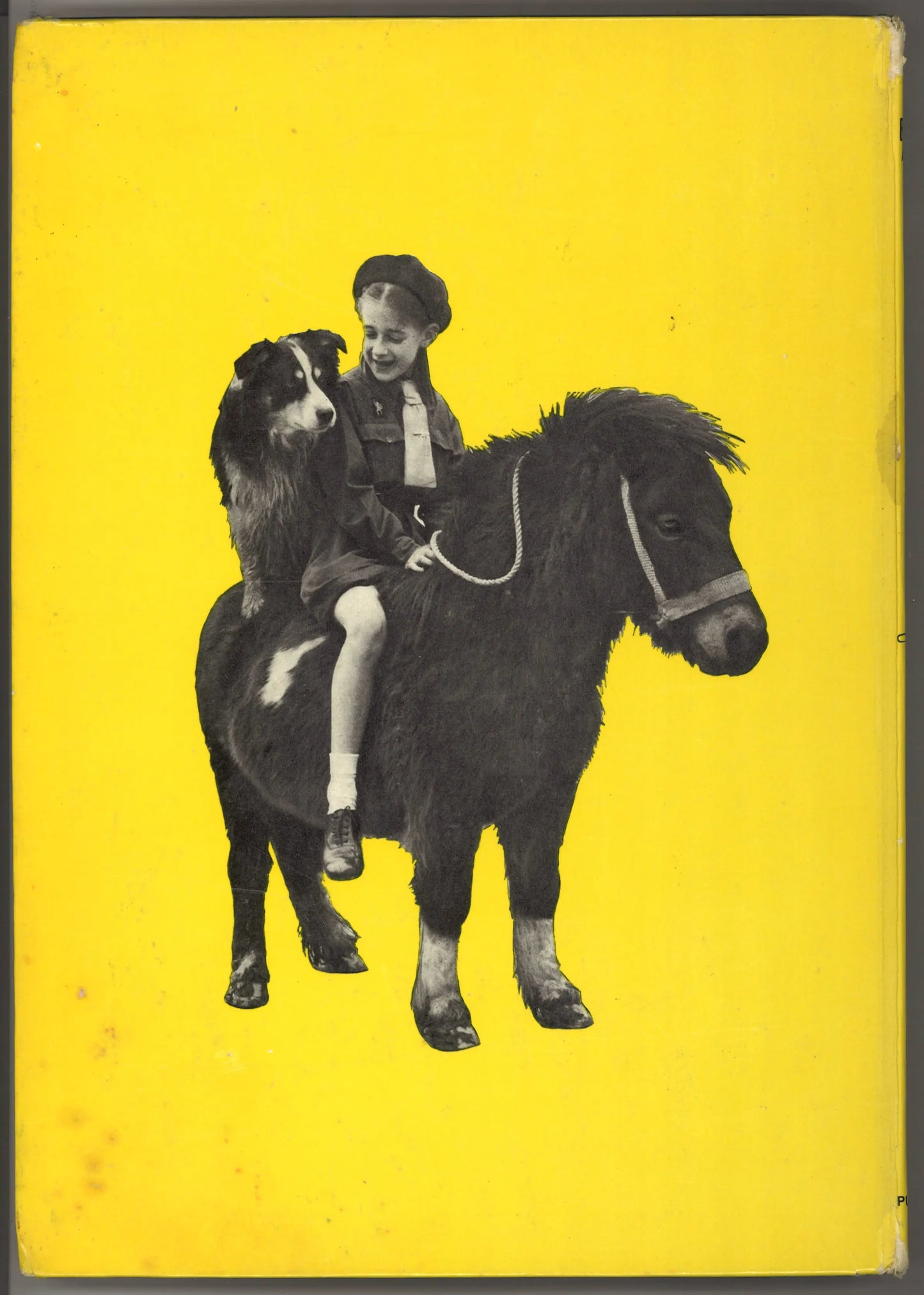 The Brownie Annual (1965)