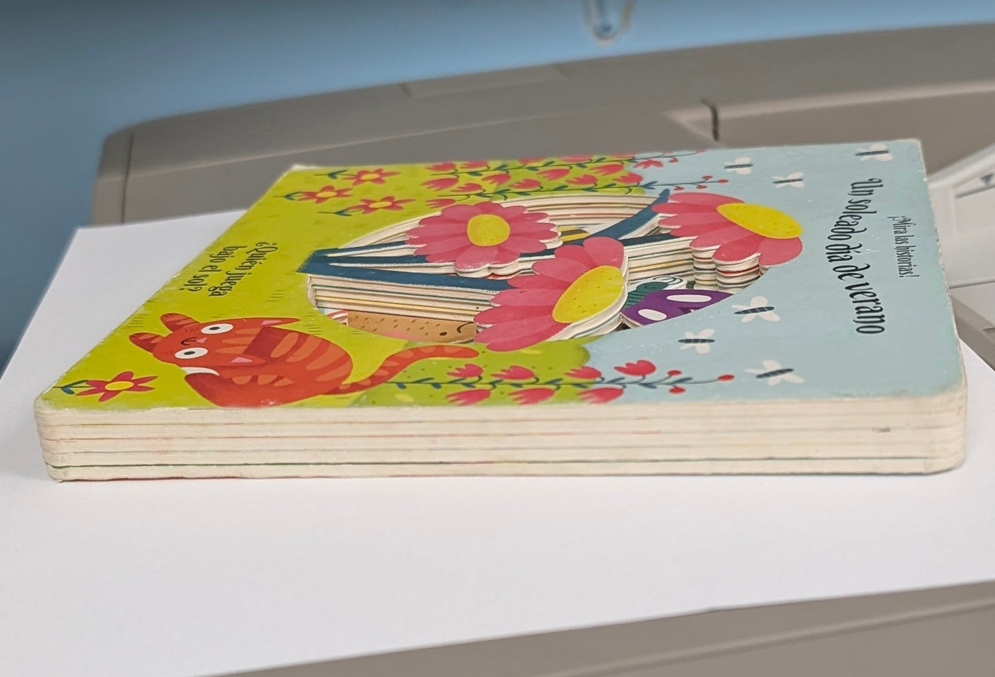 Un Soleado Día de Verano: ¿Quién Juega Bajo el Sol? - The Bookstore