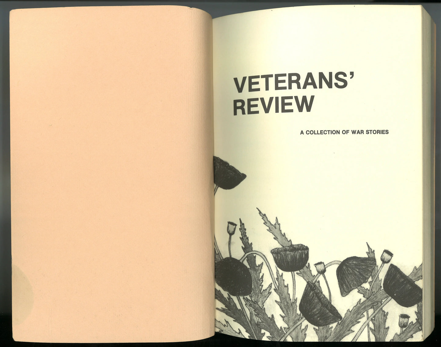 Veterans' Review: A Collection of War Stories