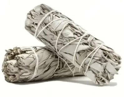 White Sage Smudge Stick (1pc) - The Bookstore